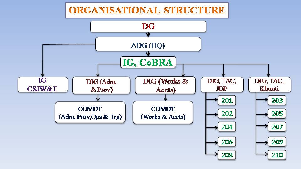 CoBRA- Organizational Structure